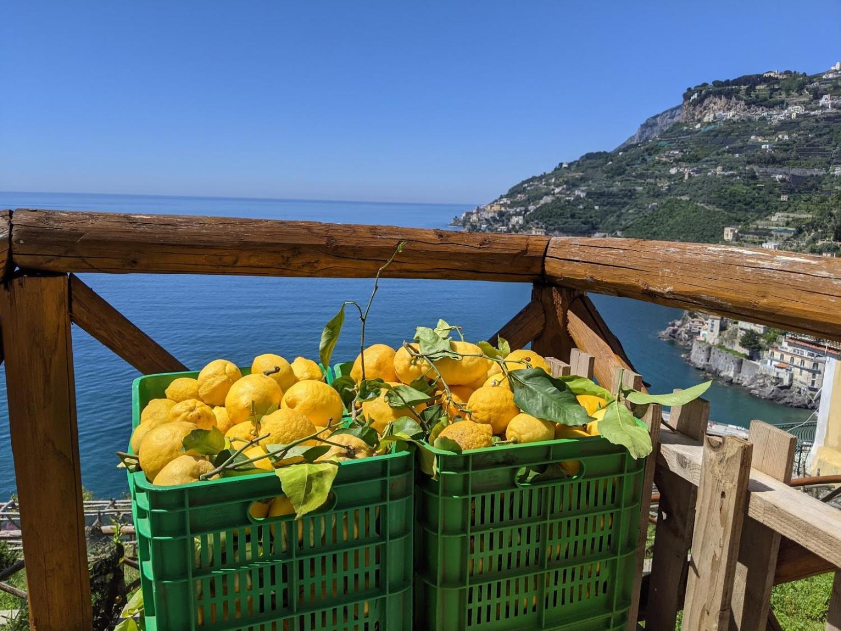 Casa Vacanze Freeholiday House Minori Bagian luar foto