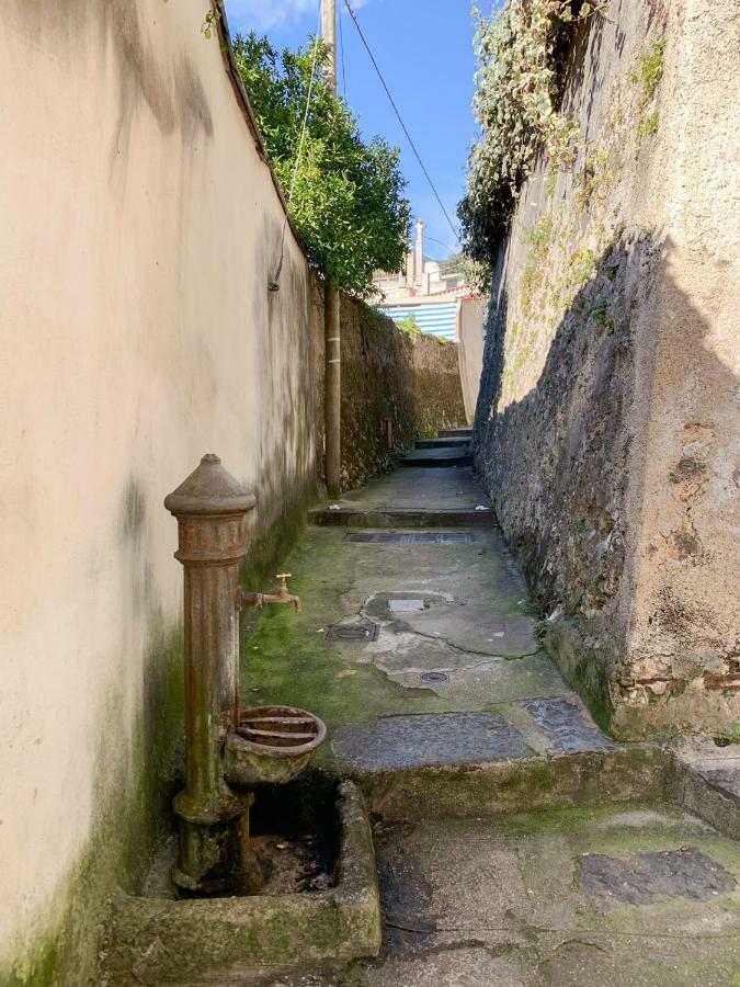 Casa Vacanze Freeholiday House Minori Bagian luar foto